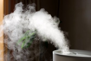 3 Great Benefits That a Humidifier Provides Your Savannah Home
