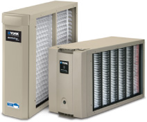 IAQ in Humid Climates: How Savannah Homes Fight Mold and Allergens